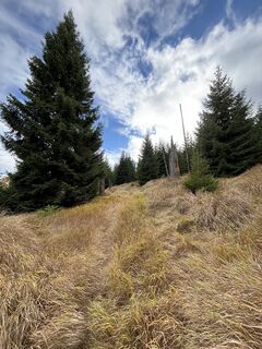 Fotografie z M Kremsi na trase