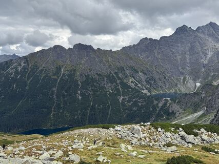 Fotografija s spletne strani Gorgi na poti