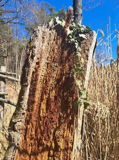 Fotografie z Christian Lerchster na trase