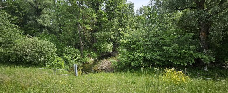 Foto von Tanjasusanna entlang der Tour