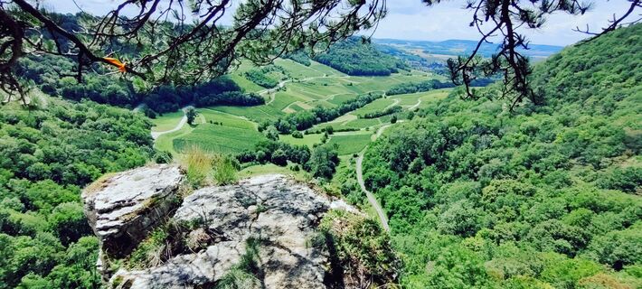 Foto de Gie van den eeckhaut a lo largo del recorrido