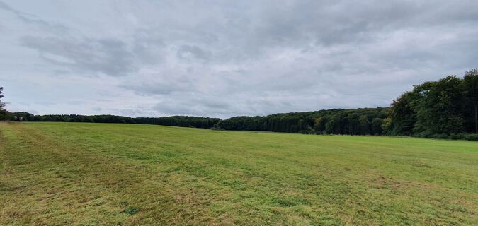 KrausbuchenWeg_Schönecker Schweiz_Sebastian Wiesen_10.2021 (48)