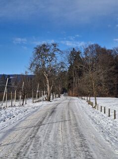 Foto von Anita entlang der Tour