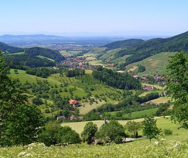Blick über das Glottertal