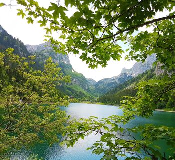 Lac de Taney, Vouvry