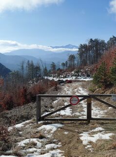 Fotografia z Johann Neubauer na trase