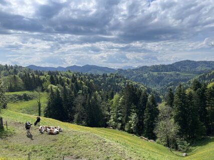 Фото с сайта Nicolas Folschweiller во время экскурсии