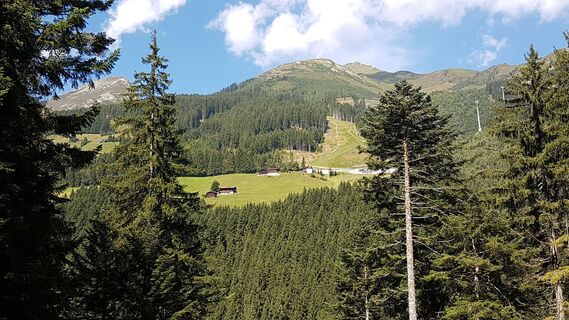 Kuhmöser - Kreuzjoch / Spieljoch