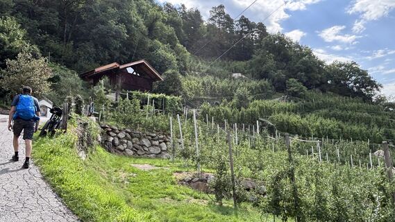 Foto von Eva Theiß entlang der Tour