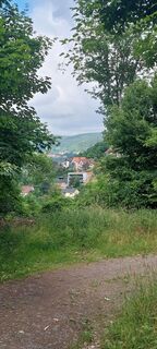 Blick auf Neckarzimmern