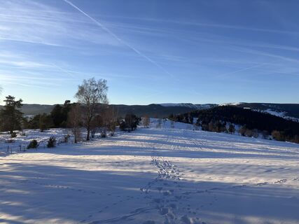 Foto von tomzer entlang der Tour