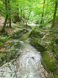 Bachlauf- Hinterbrühl im ApfelLand-Stubenbergsee in der Oststeiermark