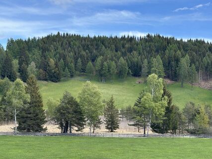 Foto von AB entlang der Tour