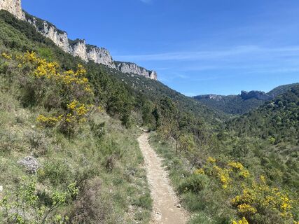 Zdjęcie z Mario Spalinger wzdłuż trasy