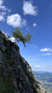 Foto von Mountain Cat ? ⛰️ entlang der Tour