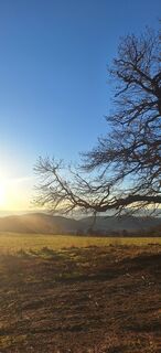 Zdjęcie z Markus Ortner wzdłuż trasy