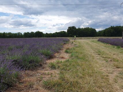 Photo de latschender le long du parcours