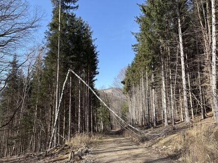 Foto von Moonytiger entlang der Tour