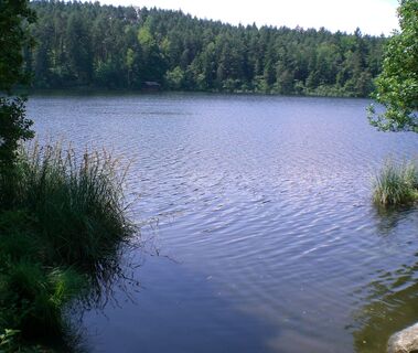 Saissersee