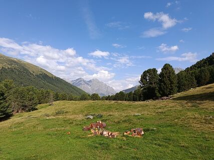 Foto von Kirsten Genglawski entlang der Tour