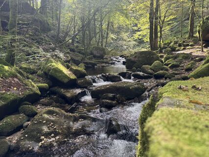 Fotografija s spletne strani Adnan Cemal na poti