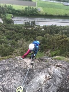 Photo de Heikoala le long du parcours