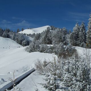 nach Stierenhütte - Winterwanderung Selibüel