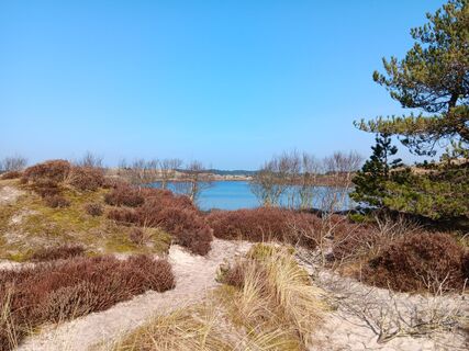 Zdjęcie z spartaan wzdłuż trasy