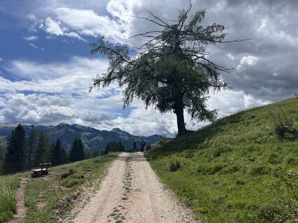 Foto von Stefano “Iddo” entlang der Tour