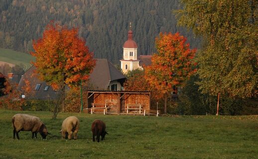 Herbstlicher Blick auf Birkfeld_Oststeiermark