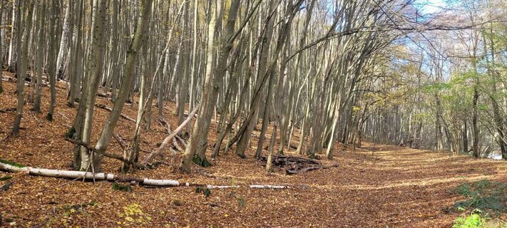 Fotografija s spletne strani Werner Spitzer 1 na poti