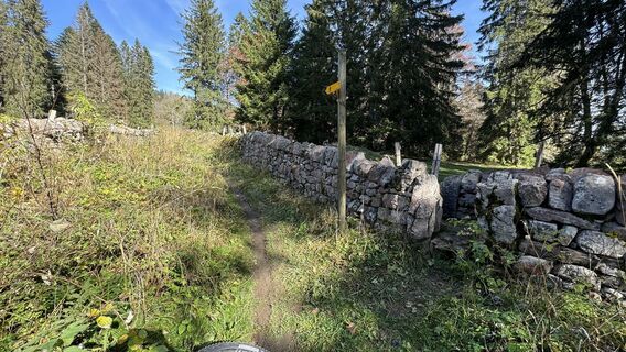 Kuva osoitteesta peter_oe matkan varrella