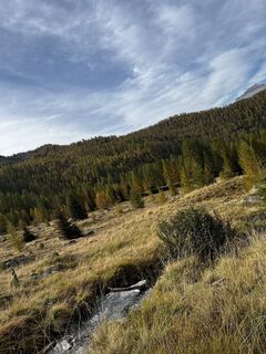 Fotografija s spletne strani Marisa scafetta na poti