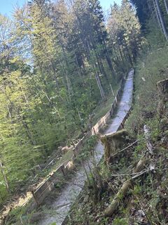 Foto von Katrin Rupprecht entlang der Tour