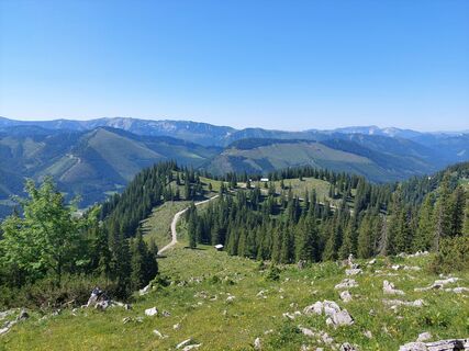 Foto från Evelynchen under resans gång