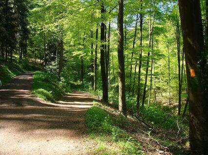 Zemljevid