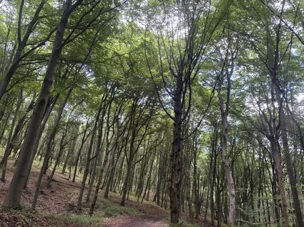 Fotografia z Reti Alicia na trase