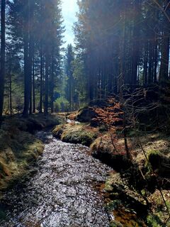 Foto von Nella entlang der Tour