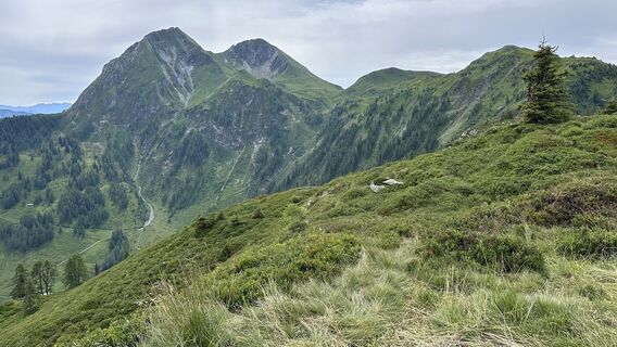 Photo de Mountain Cat ? ⛰️ le long du parcours