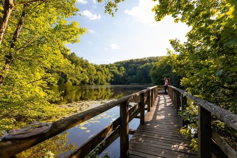 Bergsee Delliehausen