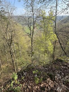 Foto von Michael Müller 62 entlang der Tour