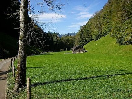Rimsgrund