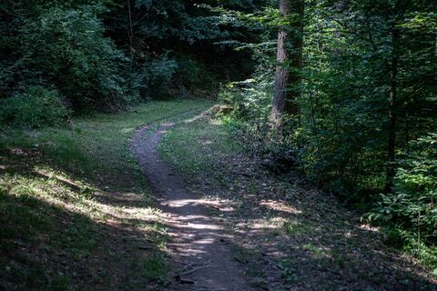Rundtour Bonaduzer Wald 256