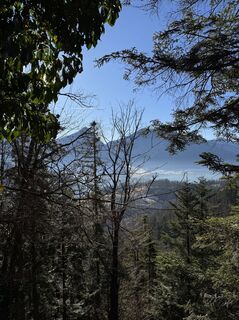 Fotografija s spletne strani Iulia Rubtsova na poti