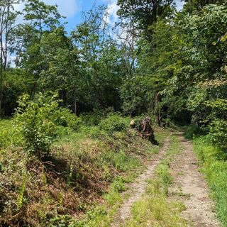 Weg durch die Felder