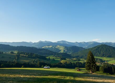 Panoramablick auf die Nagelfluhkette