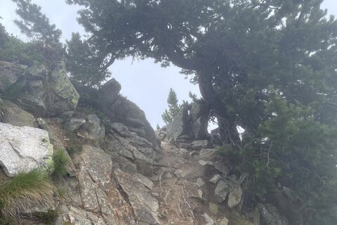 Fotó a Gloop honlapról a túra során