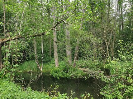 Photo de Conni engl le long du parcours