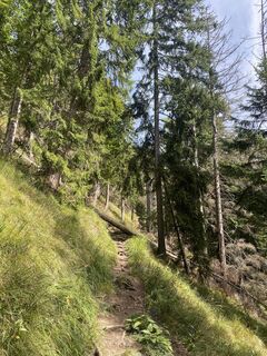 Foto von Harald Köbler entlang der Tour
