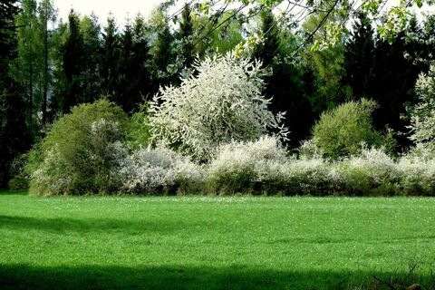 Frühling auf dem Schmugglerpfad